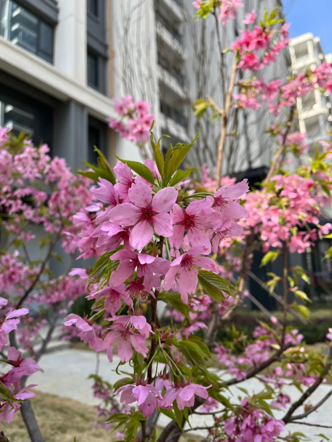 微信圖片_20250327101523.jpg