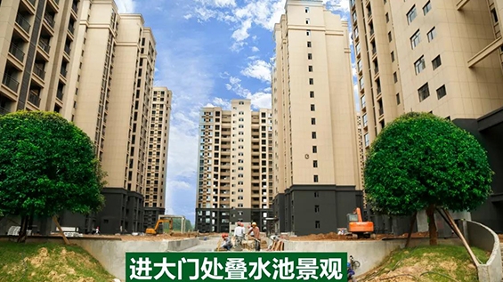 【工程進度】不(bù)負六月好時(shí)光,綠洲家書如約而(ér)來(lái)