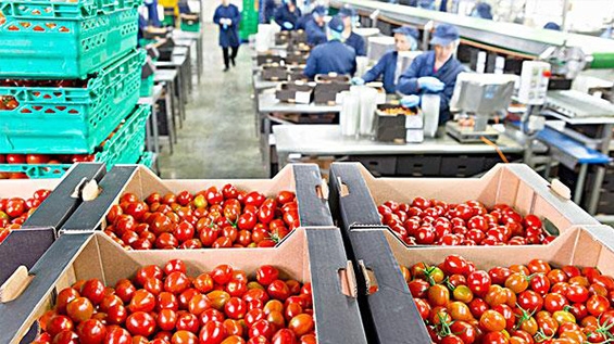 2020年中國(guó)有機食品行業市場現狀與發展前景分析 有機食品深加工成趨勢「組圖」