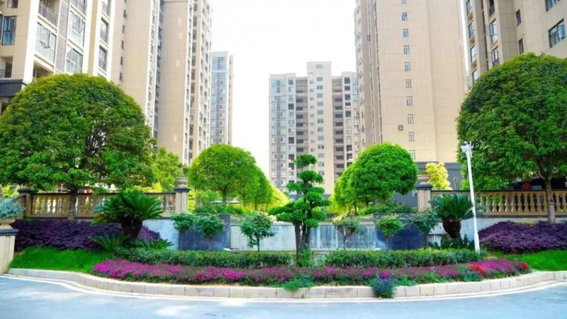 東方綠洲 | 實景現房，清盤特價3998元/㎡起