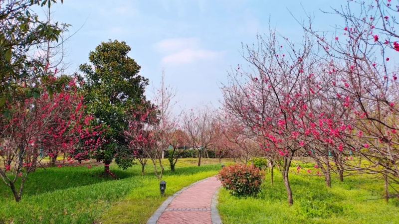 有一(yī / yì ／yí)種美好，叫家住公園裏！