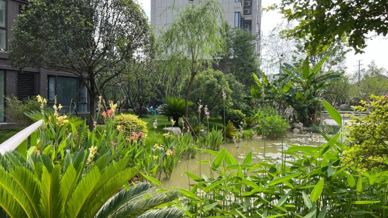 東方瑞景丨與自然爲(wéi / wèi)鄰，聆賞生活之(zhī)美！