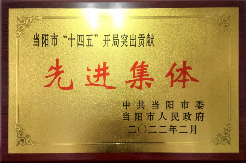 2022年東方國(guó)酒集團被當陽市人(rén)民政府評爲(wéi / wèi)“先進集體”